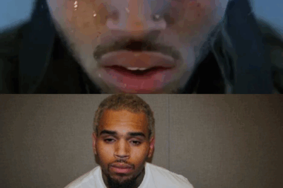 Fan’s Bizarre Chris Brown Scent Story Unveils a World of Hidden Truths, from Corporate Wars to Hip-Hop’s Darkest Secrets