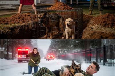 Ex-Marine Hears Midnight Cry, Leaps into Action to Stop Neighbor from Burying Two Dogs Alive