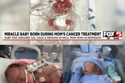 The Miracle and the Murky Road Home: Baby Ruby Ray’s Fight for Life Amid Her Mother’s Cancer Battle and A Looming Healthcare Crisis BB