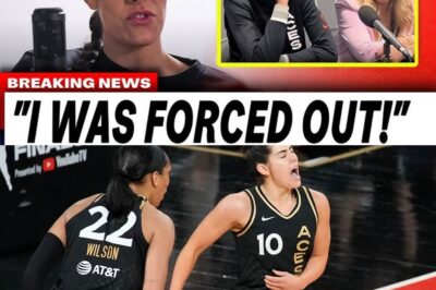 The Crumbling Kingdom: Inside the Las Vegas Aces’ Shocking Player Exodus and Internal Turmoil