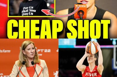 The Perfect Storm: How One Player’s Injury Uncovered the WNBA’s Deepest Flaws and Exposed a League in Crisis