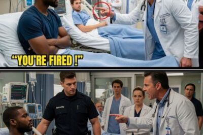 Teenager Skips Harvard Deadline to Help a Lost Old Woman, Uncovers a Corrupt Family Conspiracy and a Shocking Ancestral Secret