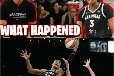 Tactical Implosion: NaLyssa Smith and A’ja Wilson Deliver Blowout Loss, Forcing 22 Turnovers on Indiana Fever bb