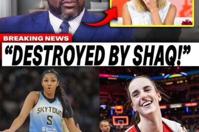 The WNBA’s Unraveling: A Season of Betrayal and Plunging Ratings