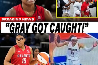 WNBA Playoff Chaos: Eyewitnesses Expose the Truth Behind Allisha Gray’s Meltdown and Fan Ejection
