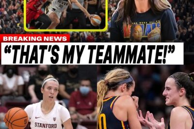 From Zero to Hero: Lexie Hull’s 7-Second Miracle Propels Injury-Plagued Indiana Fever to Shocking Playoff Victory