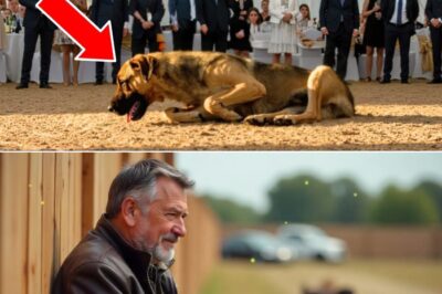 The Echo of War: How a Traumatized Veteran and a Discarded Military Dog Found Each Other, Exposed a Chilling Conspiracy, and Inspired a Revolution