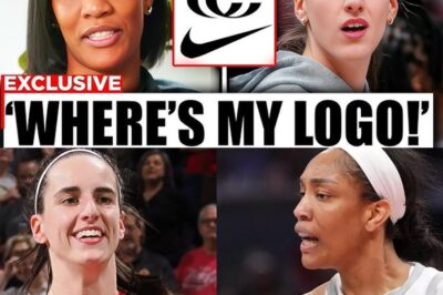 The Firestorm of a Rivalry: How Caitlin Clark’s New Nike Deal Sparked a Fierce Debate and Exposed a Deep Rift with A’ja Wilson