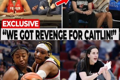 The Triumph of the Underdogs: How a Season of Injuries Forged an Unstoppable Indiana Fever Team