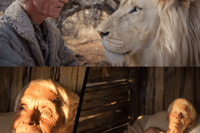 The Forest Guardian and His Lion: An Unbreakable Bond That Defied Time and Death