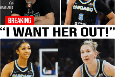 The Ultimatum: Inside the Explosive Feud That Broke the Chicago Sky
