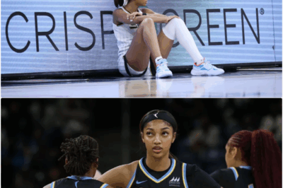 Angel Reese “Quits” on Chicago Sky Mid-Game with Alleged Fake Injury: A Hero’s Welcome for Abandonment, A League in Crisis bb