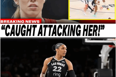 The Shove That Broke the WNBA’s Golden Child: A’ja Wilson’s Aggressive Pattern and the League’s Deafening Silence