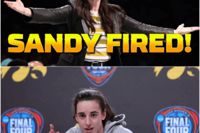The Compliment That Cost a Champion Her Job: Sandy Brondello Fired After Praising Caitlin Clark, Exposing the WNBA’s Fragile Narrative