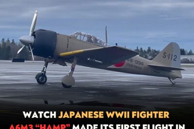Watch Japanese WWII Fighter A6M3 “Hamp” Made Its First Flight in Many Years Following Restoration