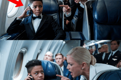 The Tarmac Showdown: How a Flight Attendant’s Slap Led to a Billionaire’s Retribution and a Flight Frozen in Time