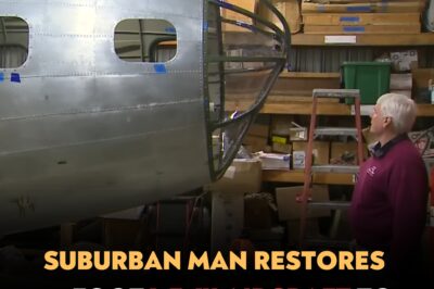 Suburban Man Restores 75-Foot WWII Aircraft to Its Former Glory