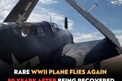 Rare WWII Plane Flies Again 80 Years After Being Recovered From Lake Washington