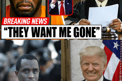 No Way Out: Trump Denies Pardon as Diddy’s Empire Crumbles Under New Lawsuits and a “Pattern of Violence” BB