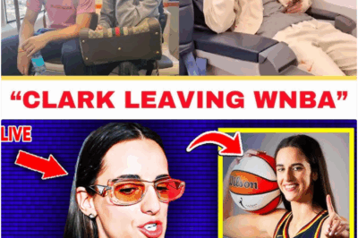 The WNBA’s Economic Reckoning: How Caitlin Clark’s Exit Exposed the “Mirage” and Plunged the League into Crisis