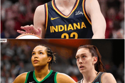 The WNBA’s Alleged “Betrayal”: A Warning for the League’s Future as Its Biggest Star Gets Injured and Left Unprotected