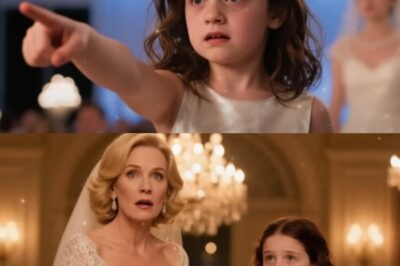 The Teddy Bear’s Secret: A Millionaire’s Redemption Uncovers a Decade of Lies