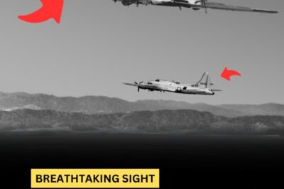 The Plane That Made The B-29 Look Like A Toy