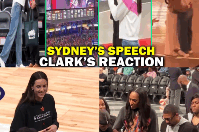 The Switch: Inside the Chilling Transformation That Proves Caitlin Clark’s Fever Are Playoff-Ready