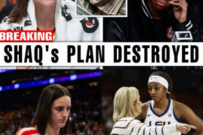 The Corporate War That Burned a Legend: How Nike Allegedly Engineered the Humiliation of Shaq and the Collapse of Reebok’s Comeback