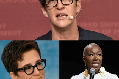 Rachel Maddow Didn’t Just Leave MSNBC—She Declared War on the News Industry with a Bold “Rogue Newsroom” alongside Stephen Colbert and Joy Reid, and the Industry’s Already Shaken.
