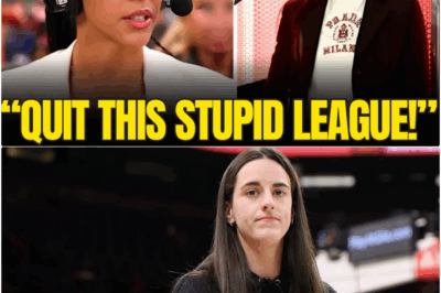 The WNBA’s Collapse: How a Single Injury Exposed the League’s Dire Reliance on One Star