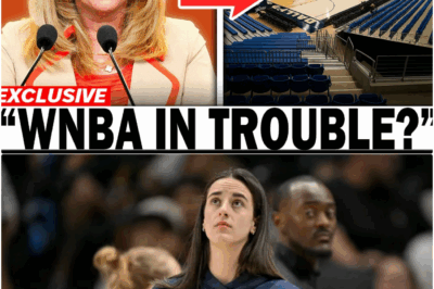 The WNBA’s “Collapse”: A Warning for the League’s Future as Ticket Prices and Viewership Plummet in Caitlin Clark’s Absence