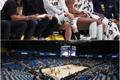 WNBA’s Self-Inflicted Meltdown: How a “Political Agenda” Over Profit Sent the League Plummeting bb