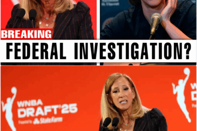 The Anatomy of a Scandal: How Corporate Deception and a Culture of Violence Allegedly Silenced a WNBA Star