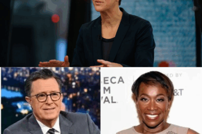BIG BANG: Rachel Maddow quietly launches a newsroom that MSNBC never dreamed of – A bold vision, Breaking the layers of censorship for a corrupt and manipulative press, they won’t have to answer to anyone! AND OF COURSE, THE TWO PARTNERS ARE NONE OTHER THAN STEPHEN COLBERT AND JOY-REID – They have officially started a news revolution. What does this mean?