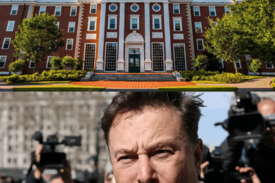 UNBELIEVABLE: Harvard professor criticizes Musk’s intelligence and calls him “rich, but not smart” — Musk strikes back by solving a nearly impossible puzzle in 120 seconds, surprising critics around the world!
