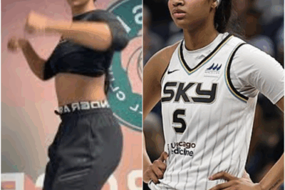 Scandal Explodes: Angel Reese Posts Dancing Video on Private Jet Immediately After Sitting Out Game Due to “Back Injury” bb