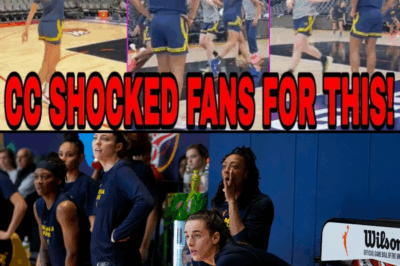 The Two Faces of the Fever: Inside the Intense Leadership and Joyful Chaos Fueling Indiana’s Playoff Push