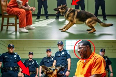 The Dog on Death Row: How a German Shepherd’s Final Visit Exposed the Real Killer and Saved His Master from Execution
