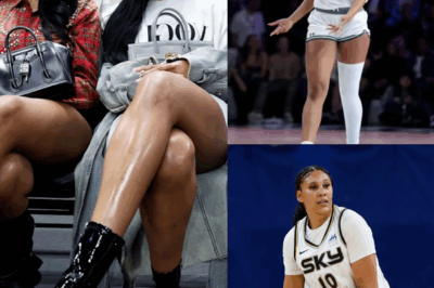 Chicago Implosion: Angel Reese’s Public Feud and Trade Demands Ignite a Franchise in Crisis