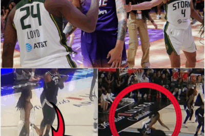 WNBA On The Brink: A Vicious On-Court Attack Exposes The League’s Troubling Decline