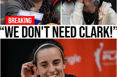 The Quiet Rift in the Indiana Fever Locker Room: Can Team Chemistry Save Them?