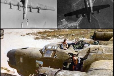 A British Liberator hit from above during a bombing run. One bomb struck the port inner engine and sheared off the propeller and the second went through the fuselage just behind the flight deck, narrowly missing the top-turret gunner,