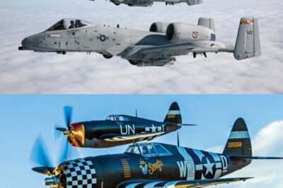 How similar is the A-10 Thunderbolt II to it’s grandfather the P-47 Thunderbolt? We’ll tell you. At level flight top speed: the A-10 is approximately 420mph with the P-47 at 430mph. Firing rate: the A-10s famous 30mm GAU-8 Gatling Gun sits at about 4,000rpm with the P-47s combined 8 .50cal M2 BMGs median rate also sits around 4,000rpm. Armor: both A-10 and P-47 had armor surrounding the pilot to protect from enemy fire. Roll rate: the A-10 sits at about 3 seconds with the P-47 sitting at about 4