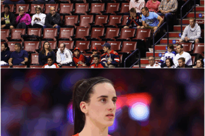 The Post-Clark Collapse: Ticket Prices Crash and Ratings Plummet, Exposing the WNBA’s Painful Truth