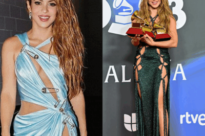 What is Shakira’s net worth?