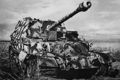 The Elefant was a heavy tank destroyer used by German Panzerjäger (anti-tank units) during World War II. Ninety-one units were built in 1943 under the name Ferdinand (after its designer Ferdinand Porsche) using VK 45.01 (P) tank hulls which had been produced for the Tiger I tank before the competing Henschel design had been selected.