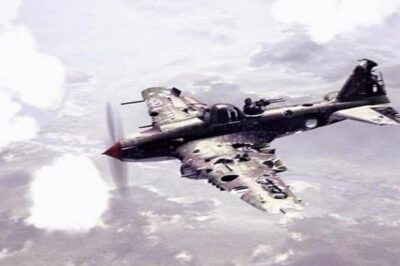 The Ilyushin Il-2 is such a remarkable plane that it can fly with up to 80% of its wing and fuselage missing