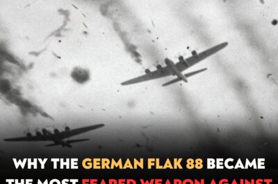 Why the German Flak 88 Became the Most Feared Weapon Against B 17 Bombers in WWII
