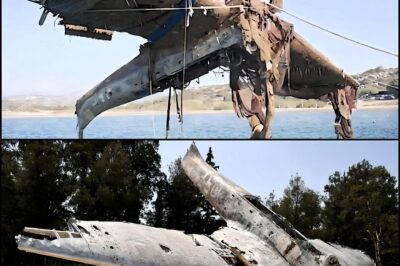 German Ju-87 “Stuka” pulled out of the Mediterranean Sea. It was shot down along with 8 others on October 9th 1943